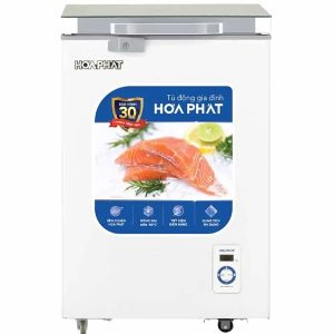 Tủ đông kính HÒA PHÁT HPF AD6107T1 thường