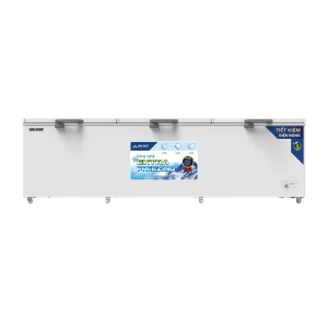 Tủ đông HÒA PHÁT HPF AD61190 thường