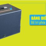 Loa xách tay Karaoke Dalton PS-K10A - Bass 25cm