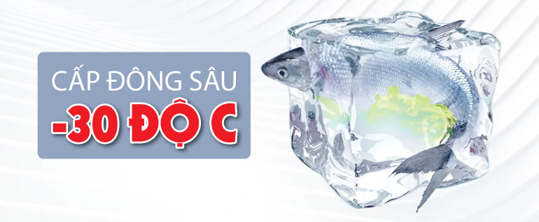 Tủ bảo quản Aqua 1 ngăn đông 301L AQF-C4001S