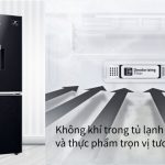 Tủ lạnh Samsung inverter 307L RB30N4190BY/SV