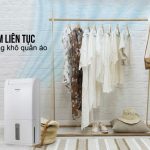 Máy hút ẩm Panasonic F-YCT14V