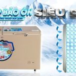 Tủ bảo quản kính cong Denver 1 ngăn 650 lít AS 980K