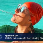 Smart Tivi QLED Samsung AI 4K 65 inch QA65Q8FAAKXXV